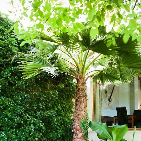 Sotobosque 3* Mortera