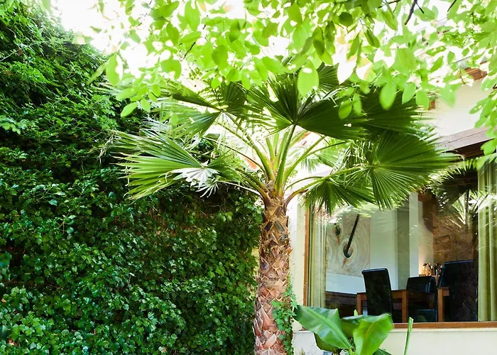 Sotobosque 3* Mortera